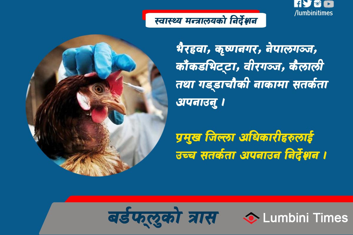 Bird Flu 1.jpg